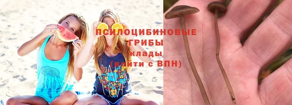 меф Елизово