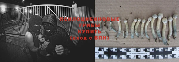 jwh Дмитровск
