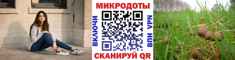 Галлюциногенные грибы прущие грибы цены наркотик Питкяранта
